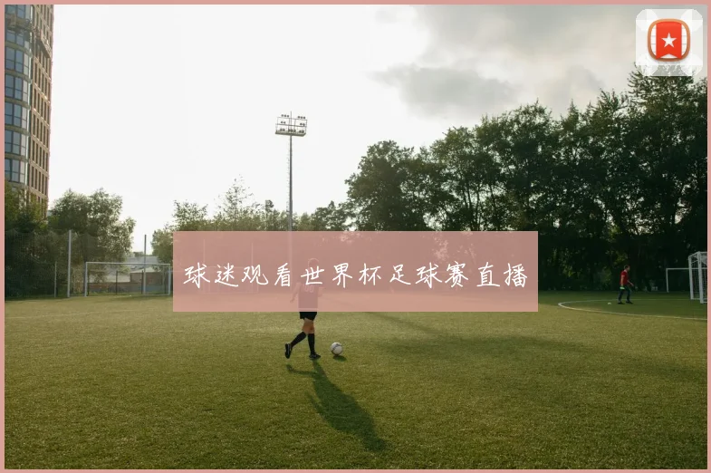 球迷观看世界杯足球赛直播