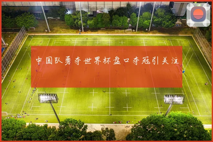 中国队勇夺世界杯盘口夺冠引关注