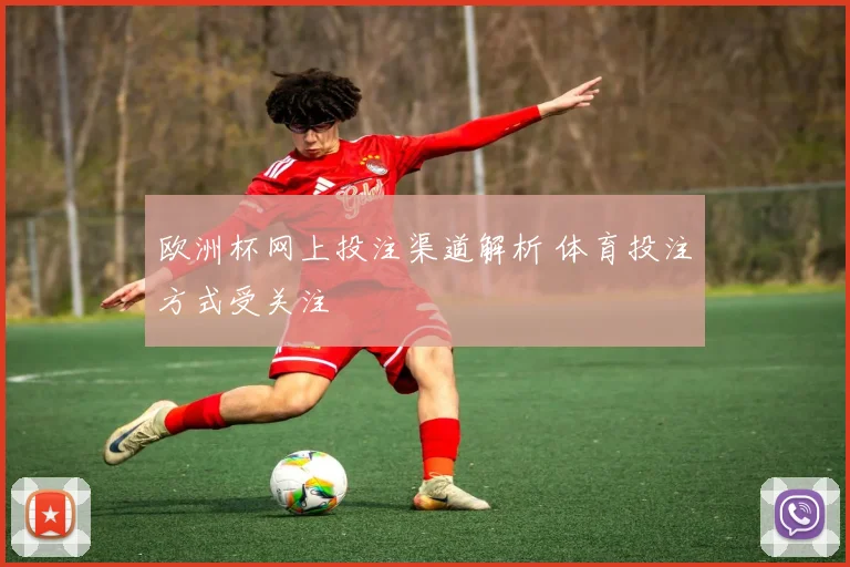 欧洲杯网上投注渠道解析 体育投注方式受关注