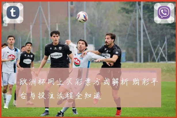 欧洲杯网上买彩票方式解析 购彩平台与投注流程全知道
