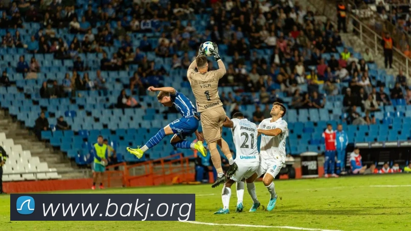 mksports网站平台生态图